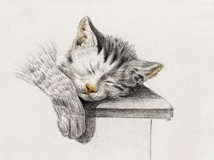 Sketch of a Sleeping Cat by Jean Bernard