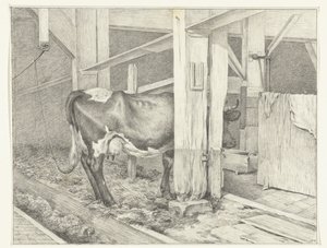 Standing Cow in a Stable, Facing Right