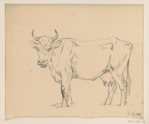 Standing Cow, Facing Left by Jean Bernard