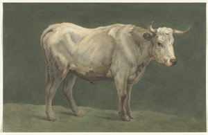 Standing Bull, Facing Right by Jean Bernard