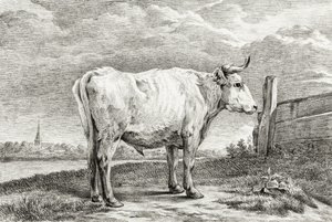 Standing Bull by Jean Bernard