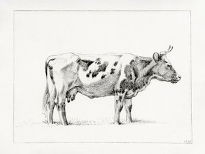 Standing Cow by Jean Bernard