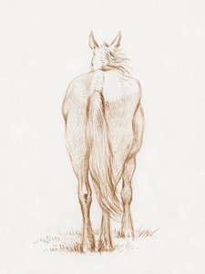 Standing Horse by Jean Bernard