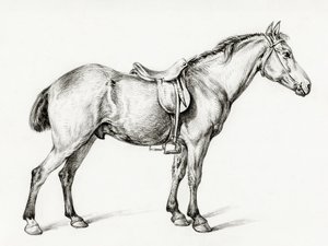 Standing Horse by Jean Bernard