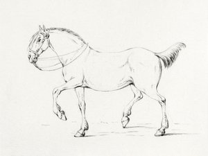Stepping Horse by Jean Bernard