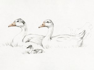 Two Geese With a Young by Jean Bernard