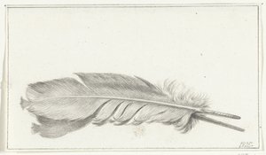 Feather