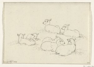 Six Lying Lambs