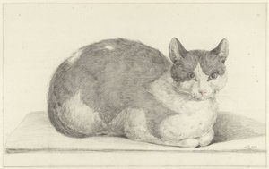 Seated Cat, Facing Right
