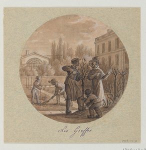 Design for a Painted Porcelain Plate, Les Greffes (Grafts) from the Service de la Culture des Fleurs (Flower Cultivation Service) by Jean Charles Develly