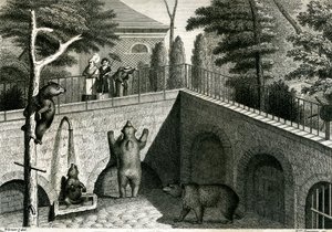 Bear den in a zoo