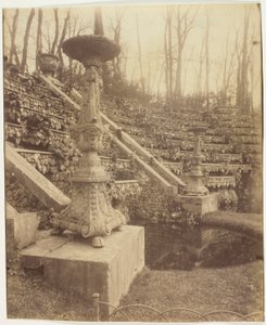 Versailles, The Park by Jean Eugène Auguste Atget
