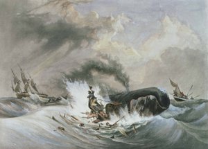 The Whale by Jean Francois (after) Garneray