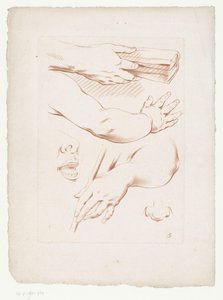 Composition with Arms, Nose, and Part of a Face