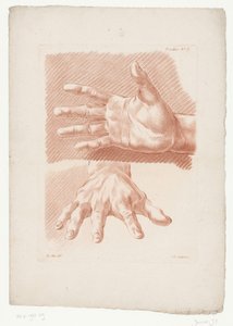 Two Hands (Compositions with Human Body Parts)