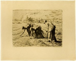 The Gleaners
