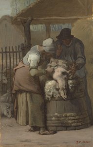 The Sheepshearers, 1857-61