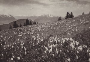 Rigi Kaltbad, Spring by Jean Gaberell
