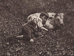 Switzerland: Siesta by Jean Gaberell