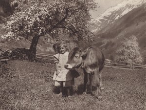 Switzerland: The Younger Generation