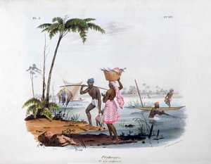 Fisherman