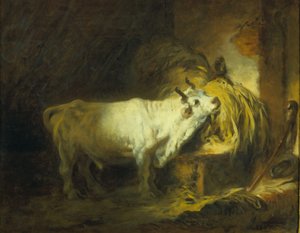 The White Bull in the Stable