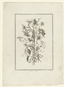 Bouquet of Narcissus and Bindweed, IIe Cahier de Bouquets (series title)