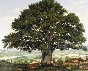 The Plain of Annecy-Chene the Veteran of the Alps by Jean Jacques Rousseau