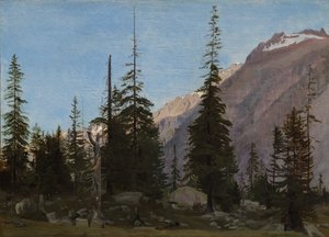 Alpine Landscape: The Handegg, Switzerland