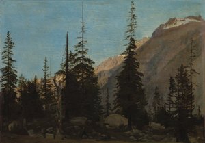 Alpine Landscape: The Handegg, Switzerland