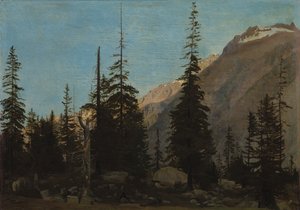 Alpine Landscape: The Handegg, Switzerland