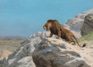 Lion on the Watch