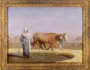 Treading Out Wheat in Egypt