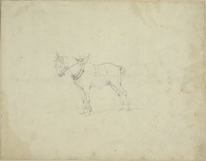 Draught Horse by Jean Louis André Théodore Géricault