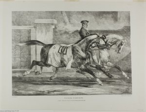 Horses Exercising, plate 6 from Various Subjects Drawn from Life and on Stone (The English Suite) by Jean Louis André Théodore Géricault
