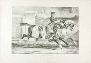 Horses Exercising, plate 6 from Various Subjects Drawn from Life on Stone