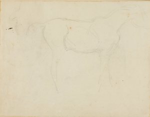 Sketch of a Horse Facing Right and a Caricature in Profile