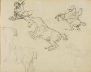 Sketches: Reclining Nude, a Horseman and Various Horses