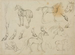 Sketches of a Horse by Jean Louis André Théodore Géricault