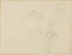 Study of a Horse Turning Its Head and Raising Its Hind Leg