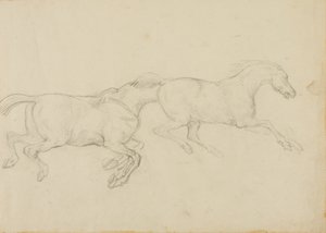 Two Horses Galloping to the Right