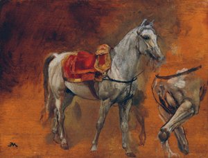 Studies of a White Horse