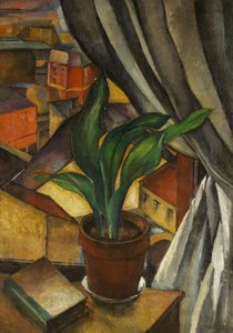 The Aspidistra