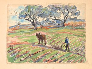 The Plain of Bormes, Var