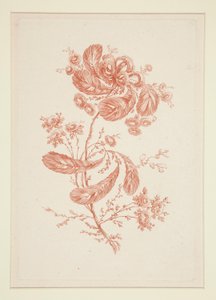 Untitled (Ideal Flowers)