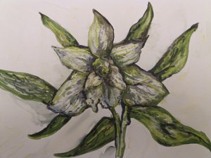 Green Orchid by Jeannette Stein