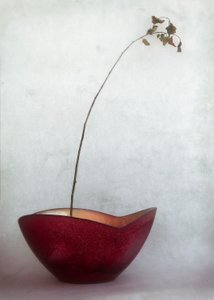 Delicate Autumn Still Life