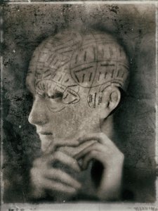 Vintage Phrenology Study by Jeffrey Hummel