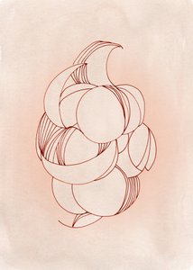 Soft Abstract Bloom by Jenja Braun