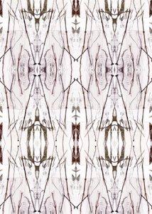 Symmetrical Nature Pattern by Jenja Braun